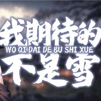 我期待的不是雪 dj抖音歌曲合集完整版mp3免费下载